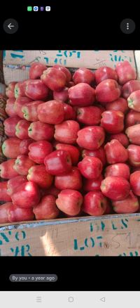 Baba bholenath fol bhandar Winsaa Profile.jpg