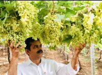 Mekala Siva Shankar Reddy1.jpeg