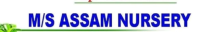 Assam nursery.png