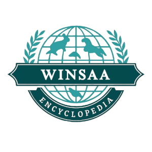 Winsaa.png