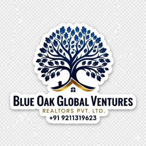 Blue Oak Global Ventures & Realtors Pvt Ltd.jpeg
