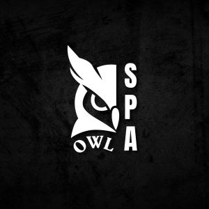 Owl Spa.jpeg