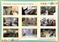 Thumbnail for version as of 09:10, 19 May 2026
